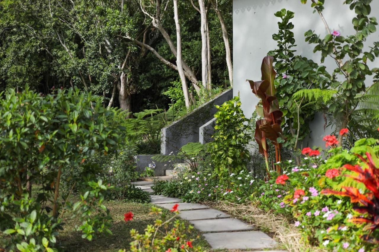 Green Cottage Chamarel Exterior foto
